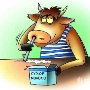 Месть Коровы